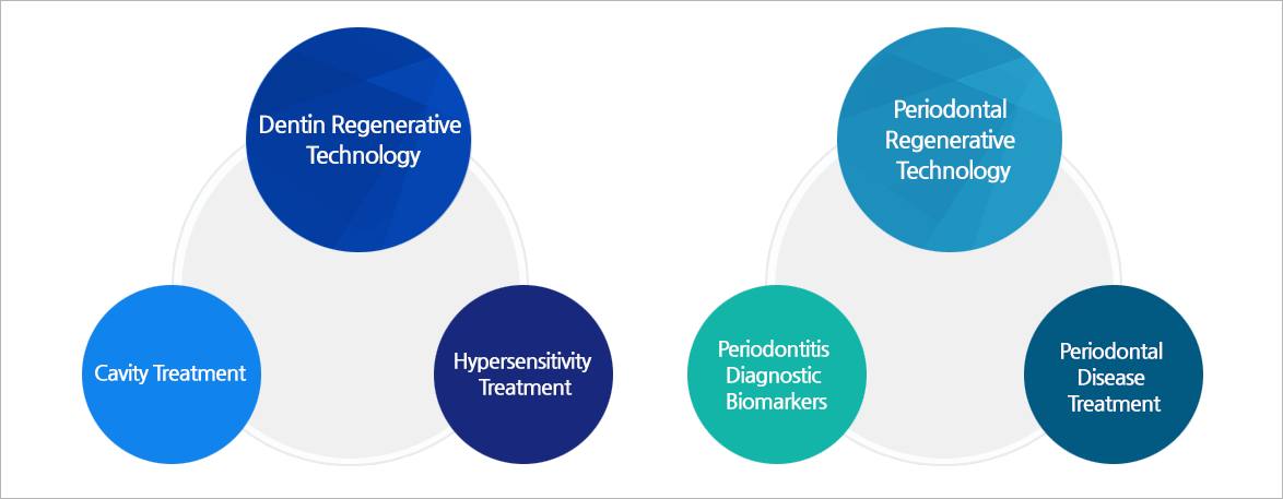 치주진단 바이오마커 개발, 치주조직 재생기술 개발, 시린이 치료기술 개발, 치아상아질 재생기술 개발, 치아줄기세포유래 단백질활용기술개발